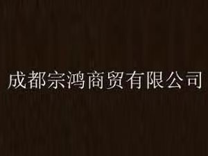 ɶQ޹˾