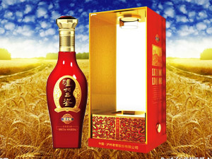 ԴQ޹˾