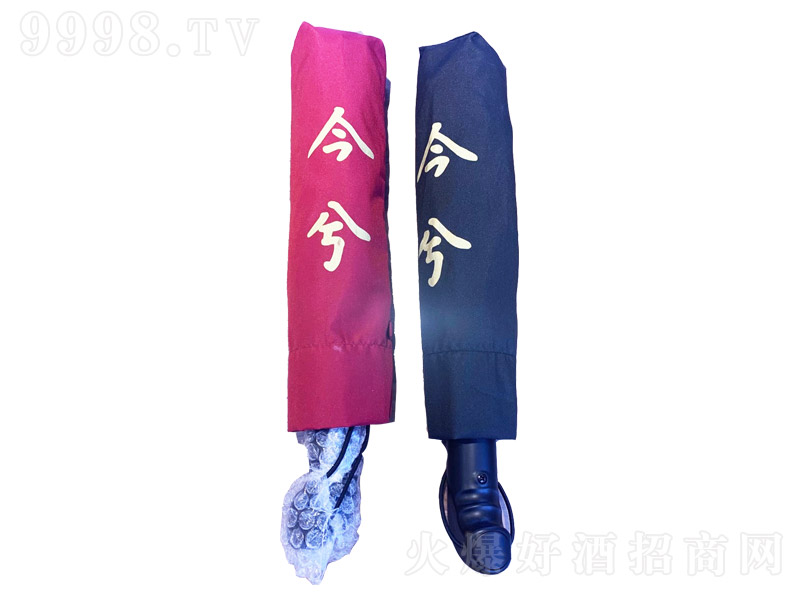 ⶨ
