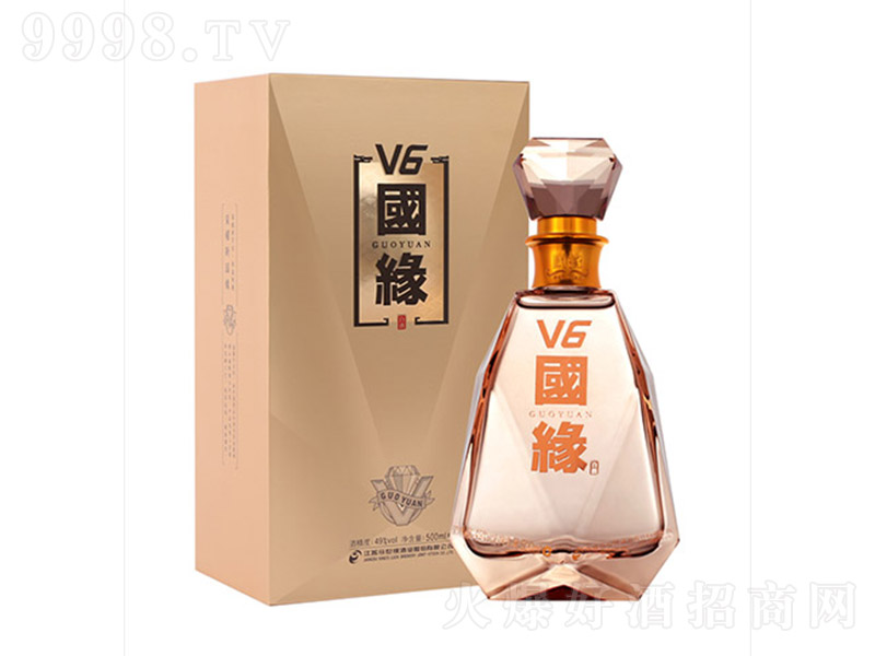 V6 Ͱ׾ơ40.9 500ml-׾Ϣ