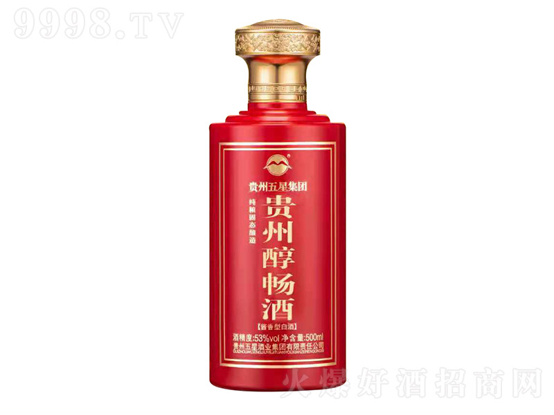 Fݴ uͰ׾ơ53 500ml